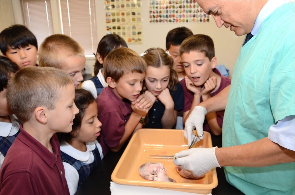 Dr. Richard Perez demonstrates a disection of a